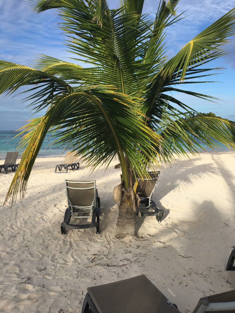 Beach view in Punta Cana